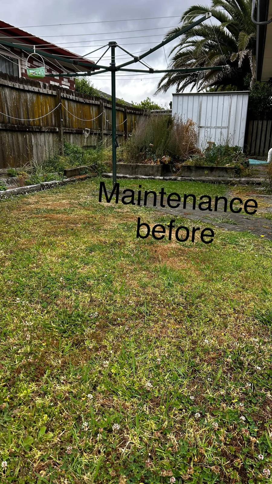 Before: overgrown lawn and neglected garden beds