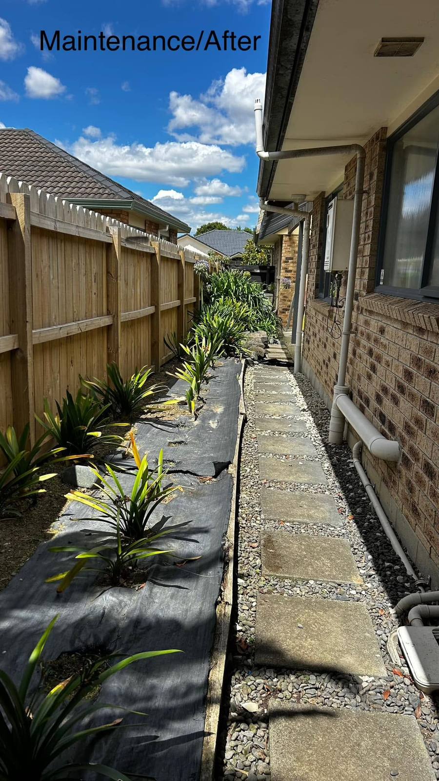 After: tidy side path with weeded beds and clean stepping stones